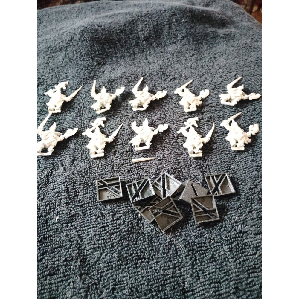 10 Warhammer Fantasy Dark Elf Corsairs  with bases